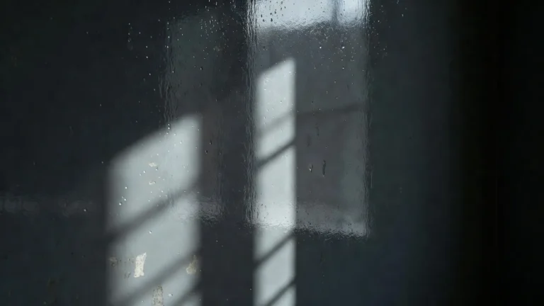 Glossy wall finish reflecting window light and shadows, showing how gloss paint highlights wall imperfections and glare