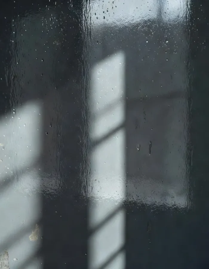 High gloss paint reflects light so strongly that every flaw and reflection becomes part of the wall.