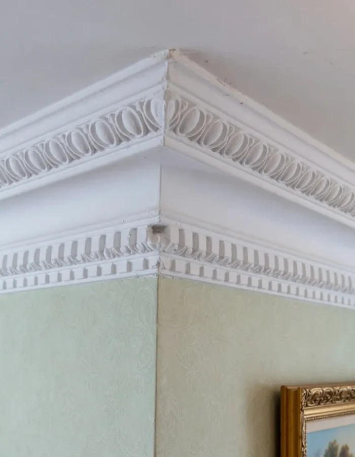 Traditional crown molding featuring dentil and egg-and-dart profiles adds classic architectural character and a finished look to the room.