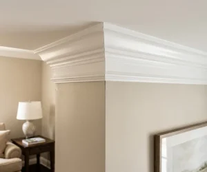 Types of crown molding installed at wall and ceiling junction in a traditional living room with beige walls and white trim.