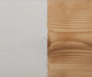 What's the Difference Between Stain and Paint? 2025 Guide